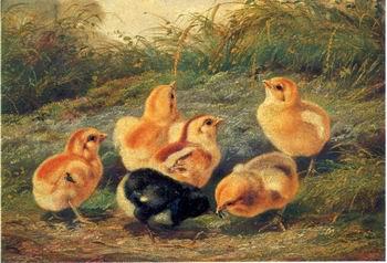 unknow artist chickens 196 oil painting image
